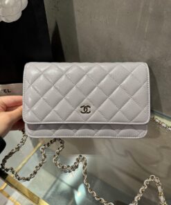 Chanel Caviar Tiny CC Wallet on Chain WOC Crossbody Bag Gray 19cm