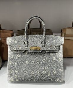 Hermes Birkin Women’s Handbag Lizard Skin Gold Lock 25cm