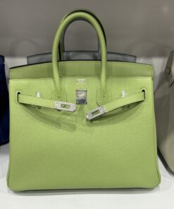 Hermes Birkin PHW Togo Women’s Handbag Green Silver Lock 25cm