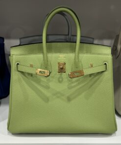 Hermes Birkin PHW Togo Women’s Handbag Green Gold Lock Super Quality 25cm