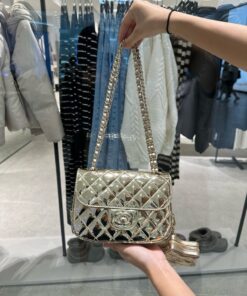 Chanel 24C Women’s Handbag Metallic Gold Like Auth 20x15x4cm