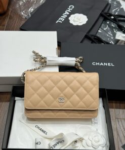 Chanel Woc Entrupy Beige Silver Lock Super Bag 19cm