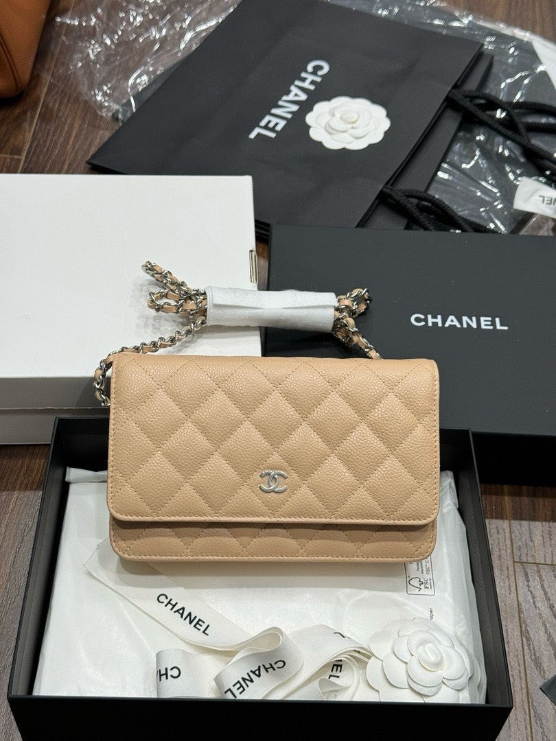 Chanel Woc Entrupy Beige Silver Lock Super Bag 19cm