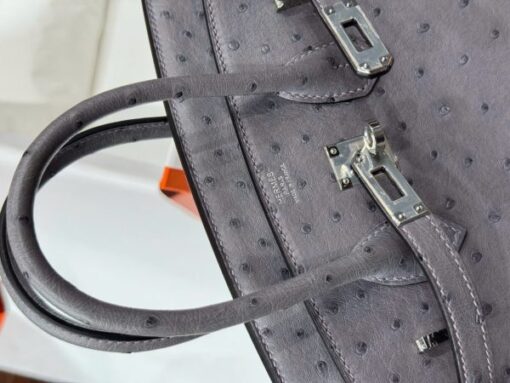 Hermes Birkin Replica Ostrich Leather Handbag Gray 25cm - Image 8