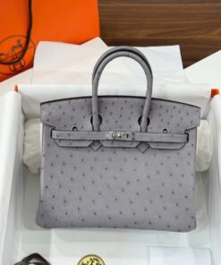 Hermes Birkin Replica Ostrich Leather Handbag Gray 25cm