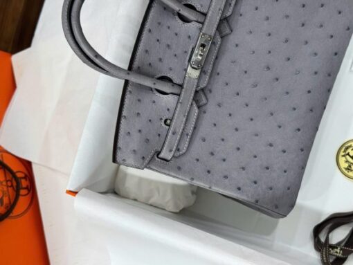 Hermes Birkin Replica Ostrich Leather Handbag Gray 25cm - Image 5