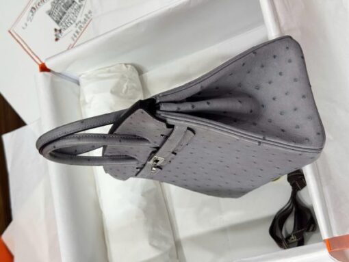 Hermes Birkin Replica Ostrich Leather Handbag Gray 25cm - Image 6