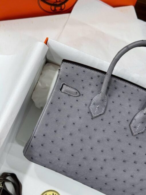 Hermes Birkin Replica Ostrich Leather Handbag Gray 25cm - Image 4