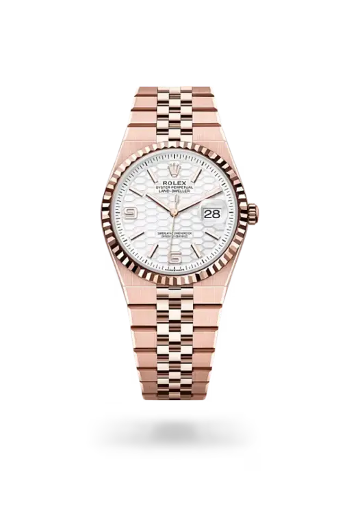 Rolex Land-Dweller 36 mm Everose gold