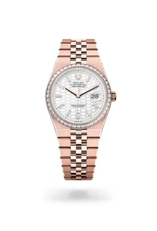 Rolex Land-Dweller 36 mm Everose gold and diamonds
