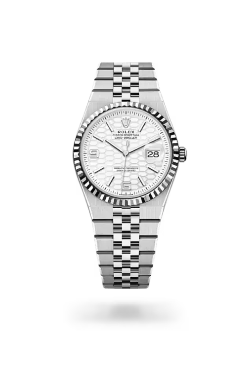 Rolex Land-Dweller 36 mm Oystersteel and white gold