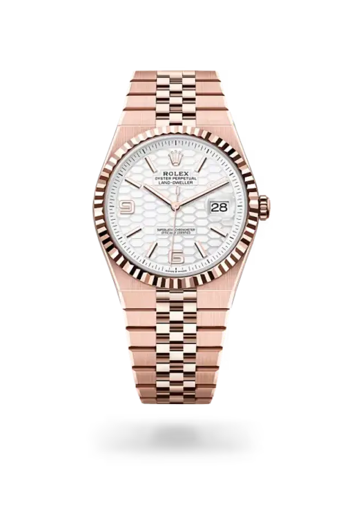 Rolex Land-Dweller 40 mm Everose gold