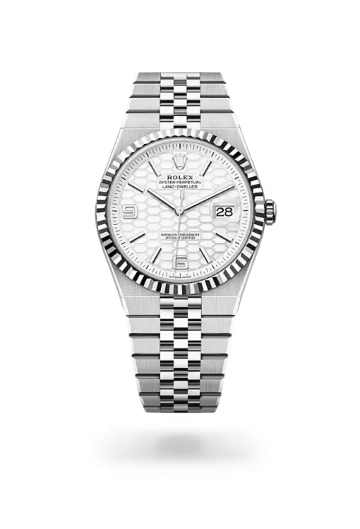 Rolex Land-Dweller 40 mm Oystersteel and white gold